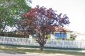 Property photo of 164 Hilton Street Glenroy VIC 3046