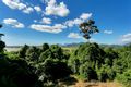 Property photo of 78-80 Fig Tree Drive Caravonica QLD 4878