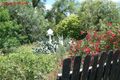 Property photo of 8 Wilson Street Gundy NSW 2337