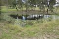 Property photo of 194 Junction Road Kerry QLD 4285
