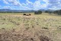 Property photo of 338 Abel Road Lower Wonga QLD 4570