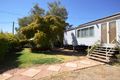 Property photo of 17-19 Wompoo Road Longreach QLD 4730