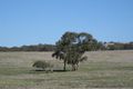 Property photo of 31B Cleland Gully Road Mount Compass SA 5210