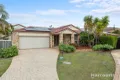 Property photo of 5 Red Pine Court Calamvale QLD 4116