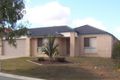 Property photo of 44 Daintree Drive Parkinson QLD 4115