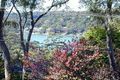 Property photo of 52 Elm Street Lugarno NSW 2210