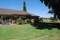 Property photo of 151 Farrell Road Congupna VIC 3633