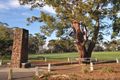Property photo of 227 Elgar Road Surrey Hills VIC 3127