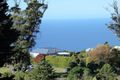 Property photo of 300 Mount Elephant Road Gray TAS 7215