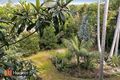 Property photo of 34 Piddington Street Ashgrove QLD 4060