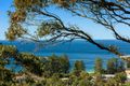 Property photo of 15 Sybil Street Newport NSW 2106