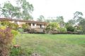 Property photo of 20 Brangus Court Kuttabul QLD 4741