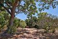 Property photo of 3 Kerrie Court Alice River QLD 4817