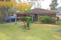 Property photo of 13 Delia Avenue Budgewoi NSW 2262