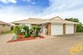 Property photo of 11 Torcasio Court Brendale QLD 4500