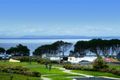 Property photo of 21 Henderson Street Indented Head VIC 3223