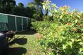 Property photo of 4 Hutchison Close Mission Beach QLD 4852
