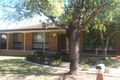 Property photo of 3 Fraser Street Mount Austin NSW 2650
