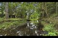 Property photo of 283 Shaws Pocket Road Cedar Creek QLD 4207