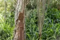 Property photo of 184 Jamberoo Road Jamberoo NSW 2533