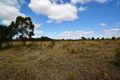 Property photo of 1175 Seymour-Tooborac Road Hilldene VIC 3660