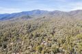 Property photo of 3 Gibbs Court Sawmill Settlement VIC 3723
