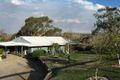Property photo of 17 McCoy Street Omeo VIC 3898