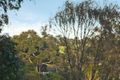 Property photo of 176 Beverley Road Rosanna VIC 3084