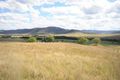 Property photo of 264 Bureen Road Martindale NSW 2328