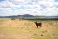 Property photo of 264 Bureen Road Martindale NSW 2328