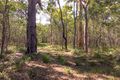 Property photo of 47 Bootmaker Drive Round Hill QLD 4677