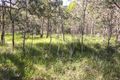 Property photo of 47 Bootmaker Drive Round Hill QLD 4677
