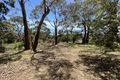 Property photo of 26 Nestle Court Arthurs Seat VIC 3936