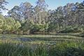Property photo of 937 Tullymorgan Road Tullymorgan NSW 2463