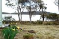 Property photo of 105 Thiessen Crescent Miena TAS 7030