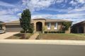 Property photo of 29 Semillon Drive North Tamworth NSW 2340