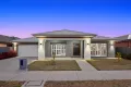 Property photo of 33 Kalamata Avenue Alfredton VIC 3350