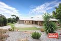 Property photo of 4 Gramp Court Lyndoch SA 5351