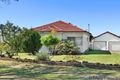 Property photo of 119 Priam Street Chester Hill NSW 2162