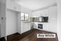 Property photo of 43 Wondaree Street Rye VIC 3941