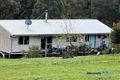 Property photo of 46 Buckley Road Carlotta WA 6275
