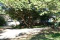 Property photo of 60 Oaklands Road Hazelbrook NSW 2779