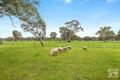 Property photo of 1166 Brookman Road Dingabledinga SA 5172