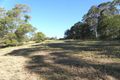 Property photo of 184 Tuntable Falls Road Nimbin NSW 2480