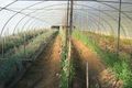 Property photo of 328 Deepfields Road Catherine Field NSW 2557