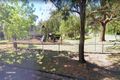 Property photo of 8 Bowral Close Hornsby Heights NSW 2077