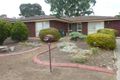 Property photo of 19 Callitris Avenue Surrey Downs SA 5126