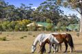 Property photo of 10746 Tasman Highway Little Swanport TAS 7190