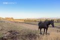 Property photo of 1260 Oldina Road Oldina TAS 7325