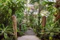 Property photo of 13 Arkana Drive Noosa Heads QLD 4567